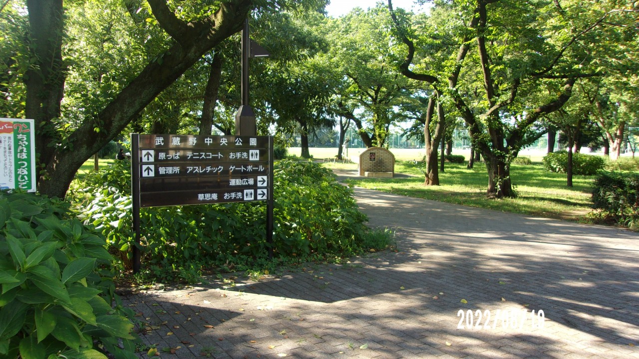 入り口からの様子です。