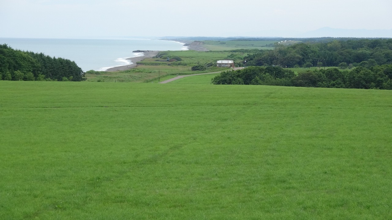 まるで丘の上の牧草地にいるかのようです。