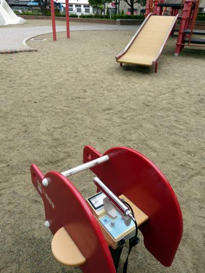 公園内の遊具の上では 