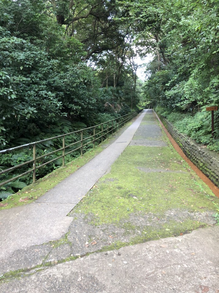 いきなりの坂です