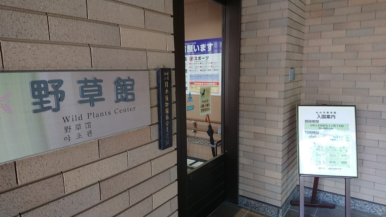野草園の入り口