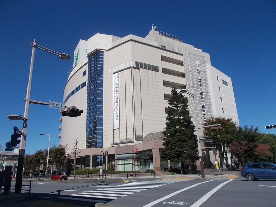 全景です。