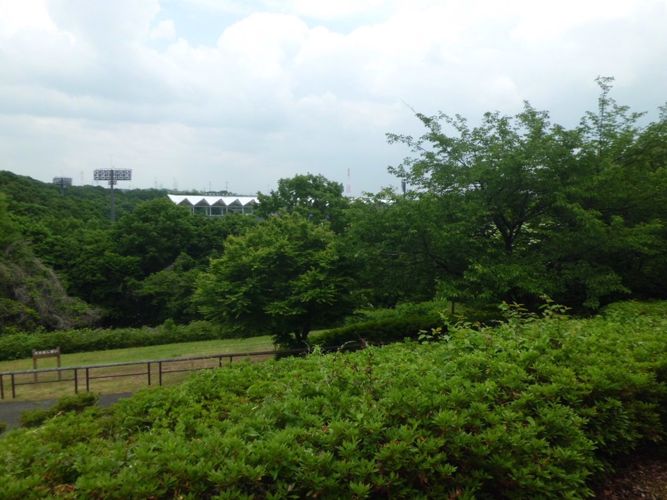 展望広場から陸上競技場方面