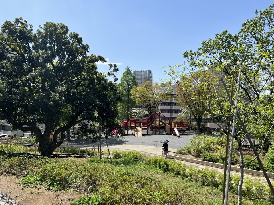 公園の遊具広場