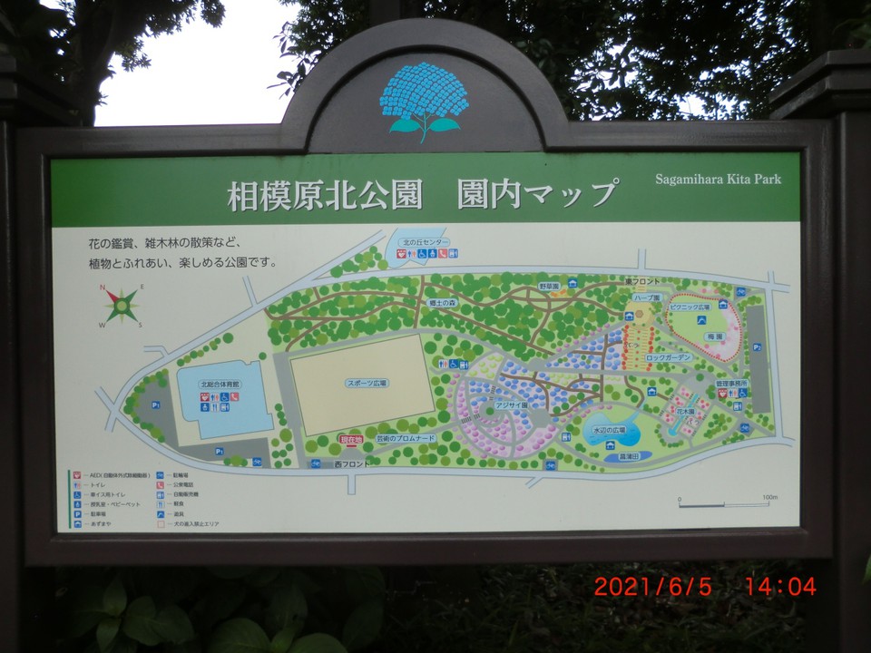 公園の全景図