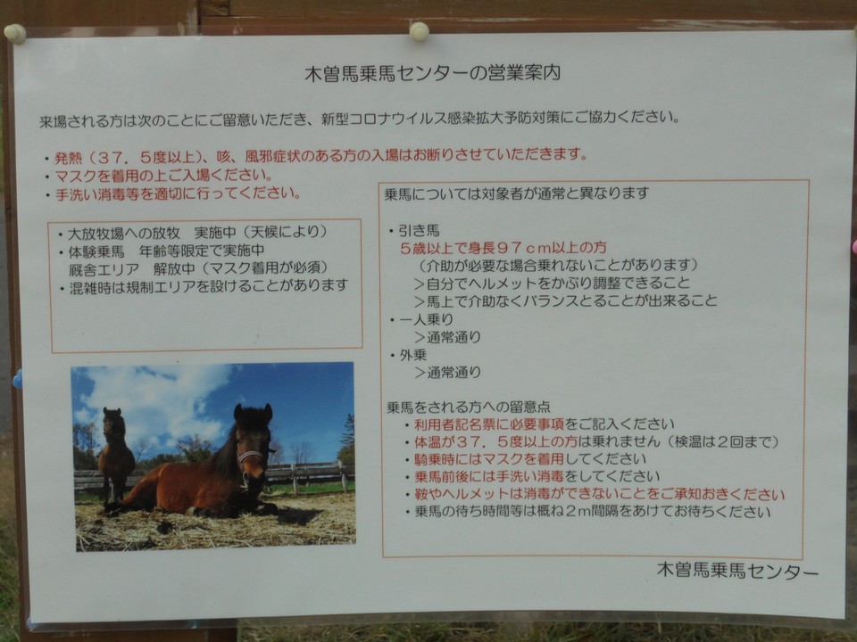 木曽馬の乗馬案内