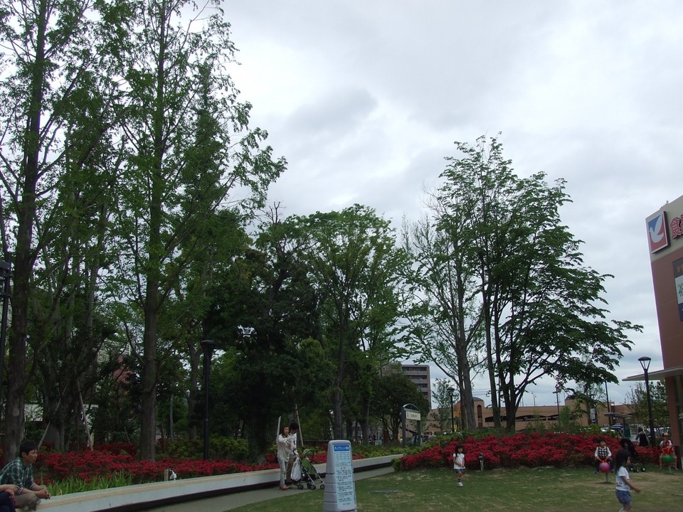 公園の様子
