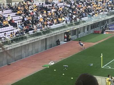 ドーレ君も来てました。