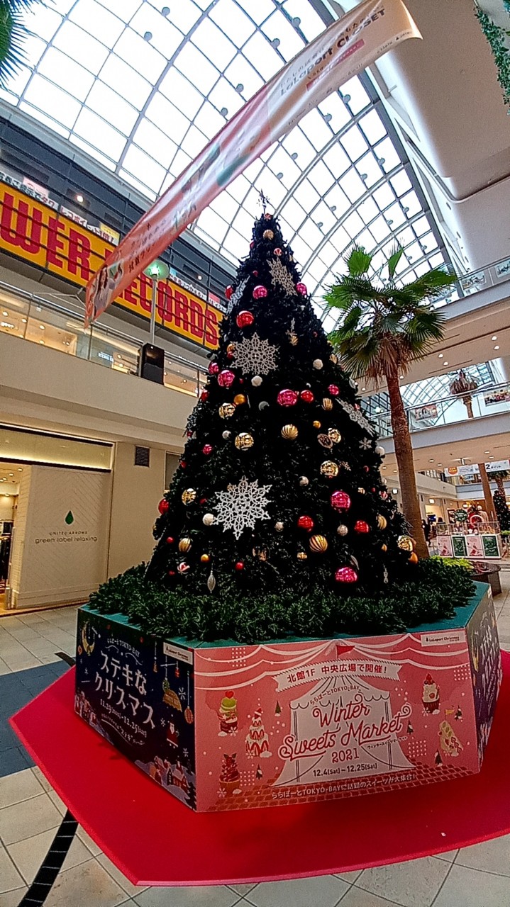 椰子の木とクリスマスツリー