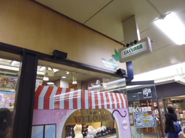 どんぐり