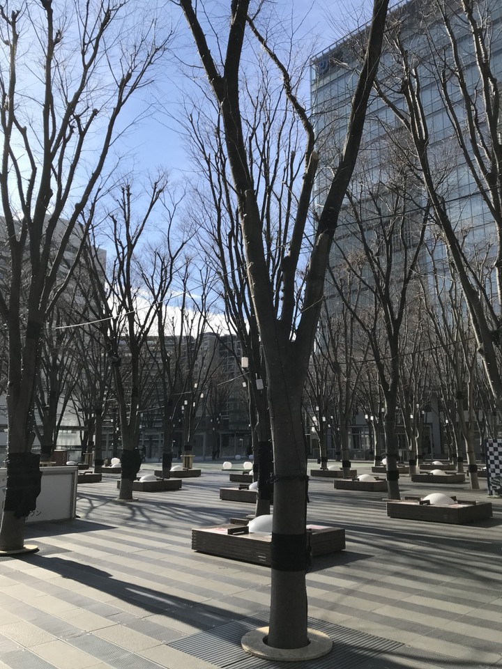 木々もいっぱいの広場