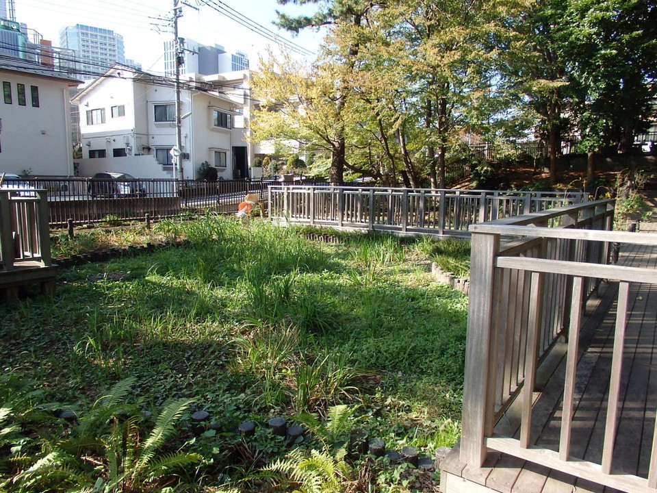 上野毛自然公園の湿地帯
