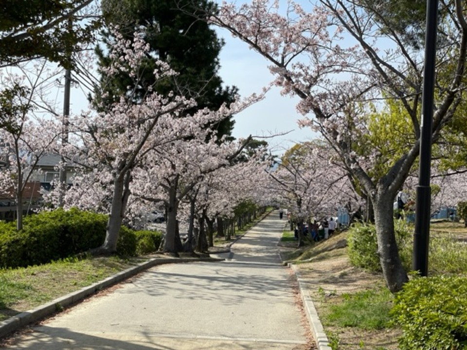 西側のエリア