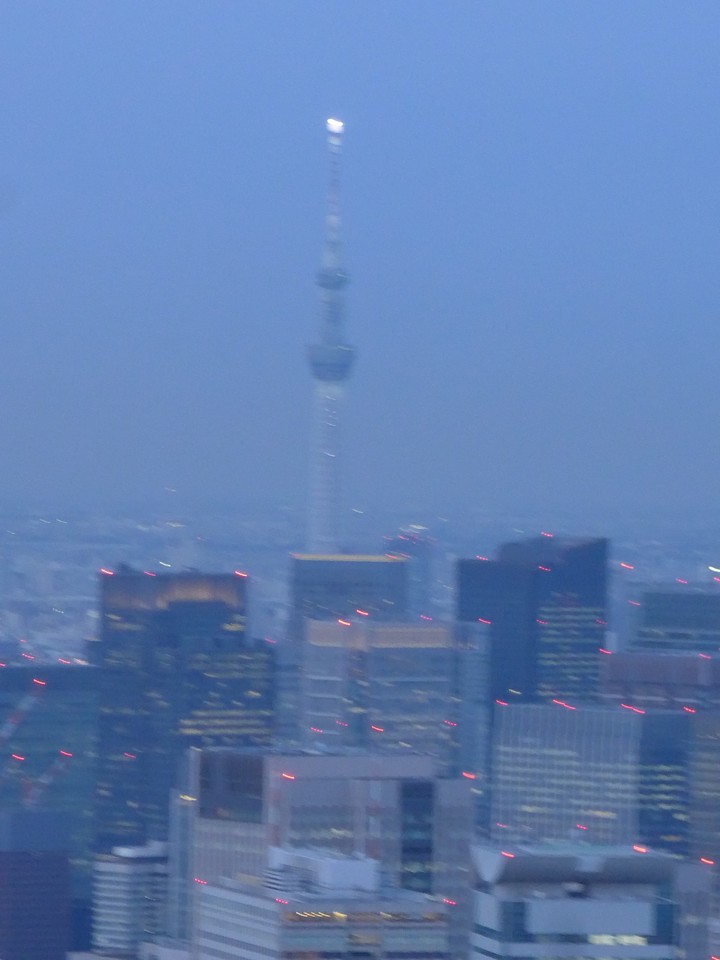 東京スカイツリーをズーム撮影