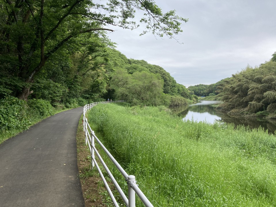 花見川はゆっくり流れています