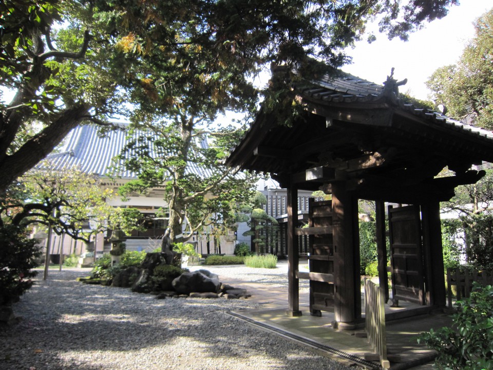 本堂と山門