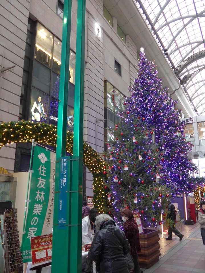 イベント広場のクリスマスツリー