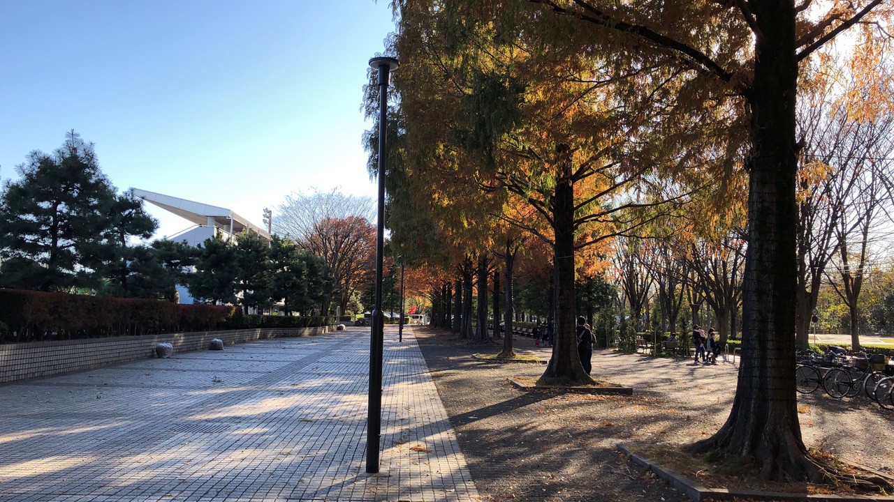 右が公園通り！