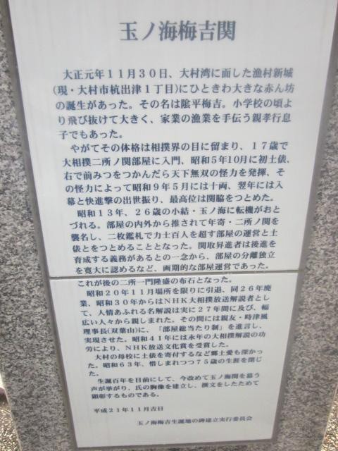 玉ノ海の解説はこちらで。