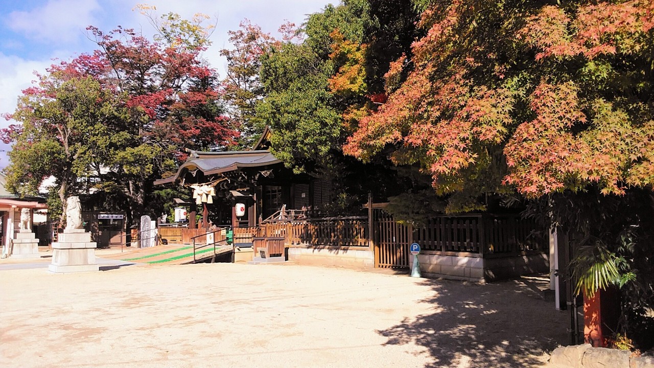 紅葉の始まったモミジに拝殿