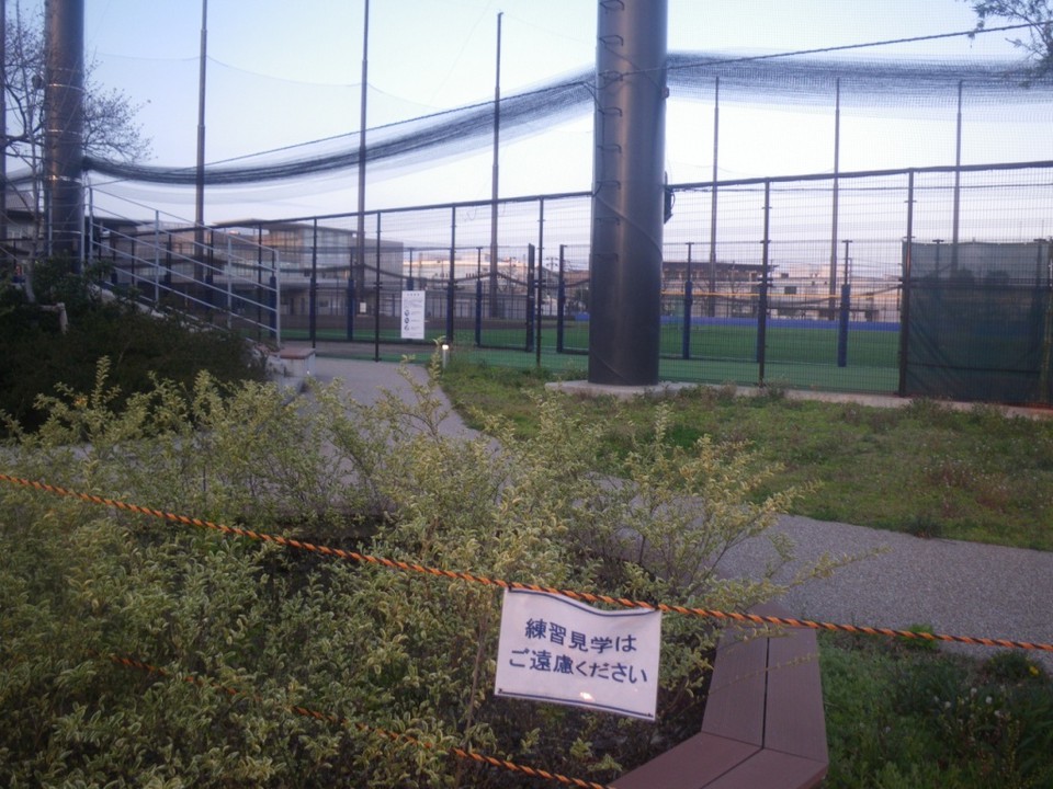 フェンス際の練習見学施設は未開放