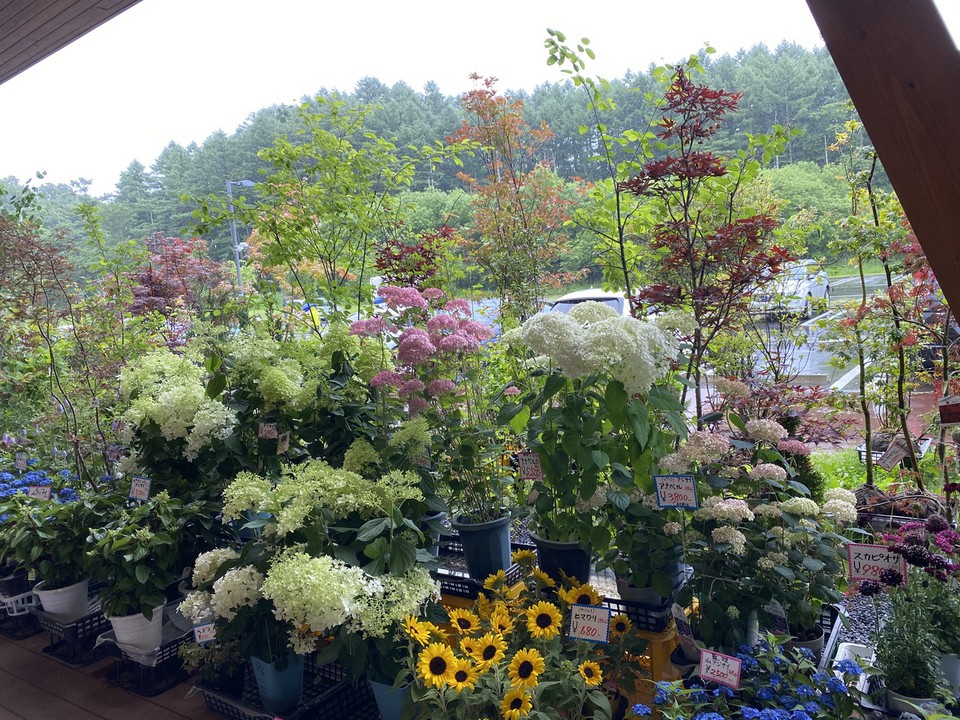 お花や植木もあります