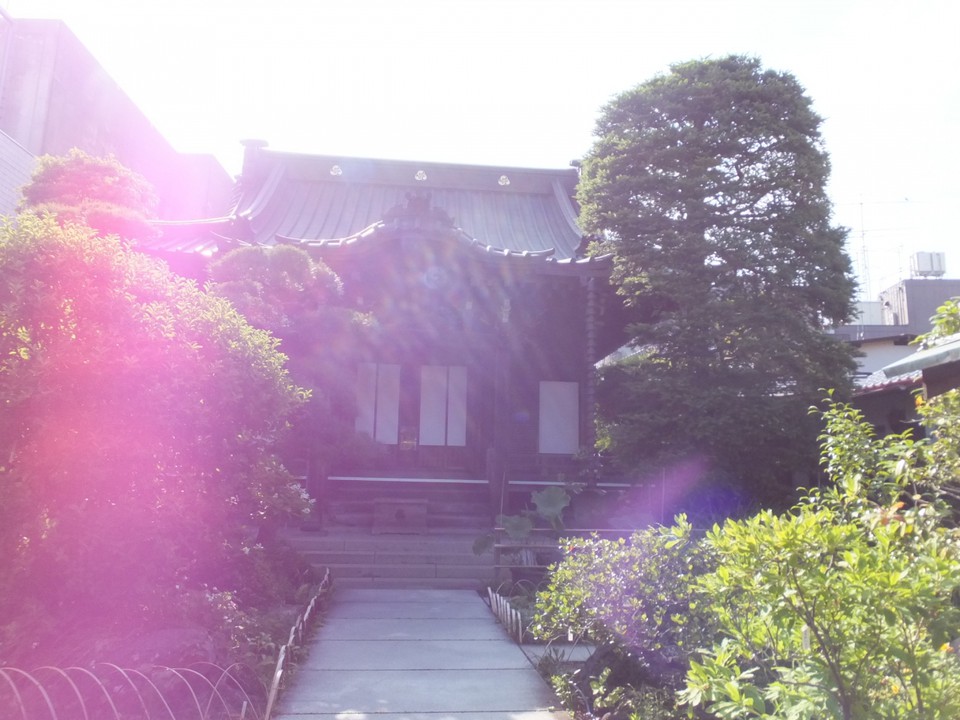 寺