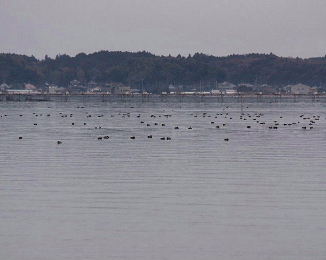 歩崎公園から霞ヶ浦を望む