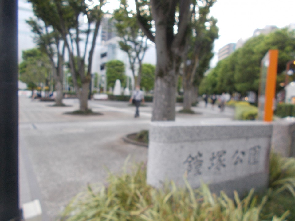 公園の様子です。