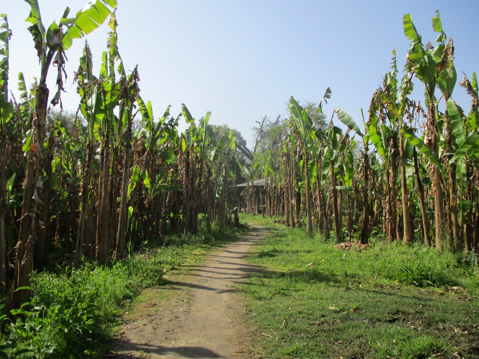 途中の景色。日本じゃないみたい。