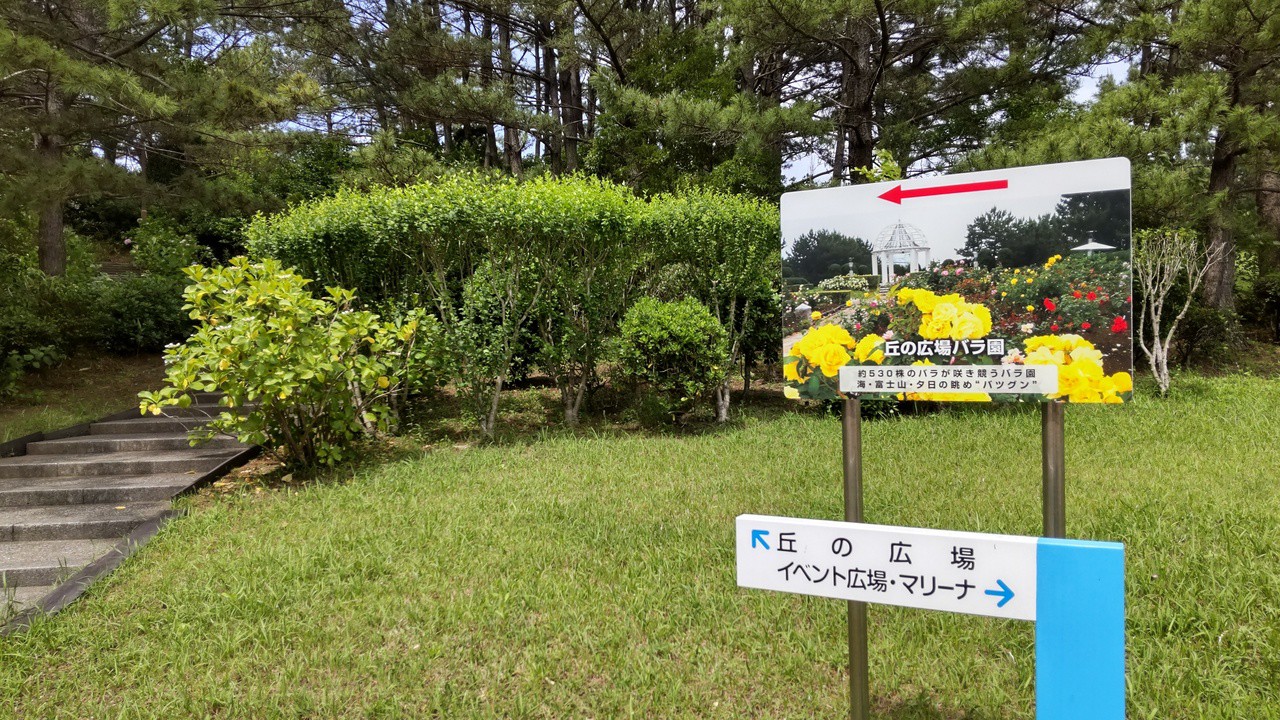 ばら園への近道？