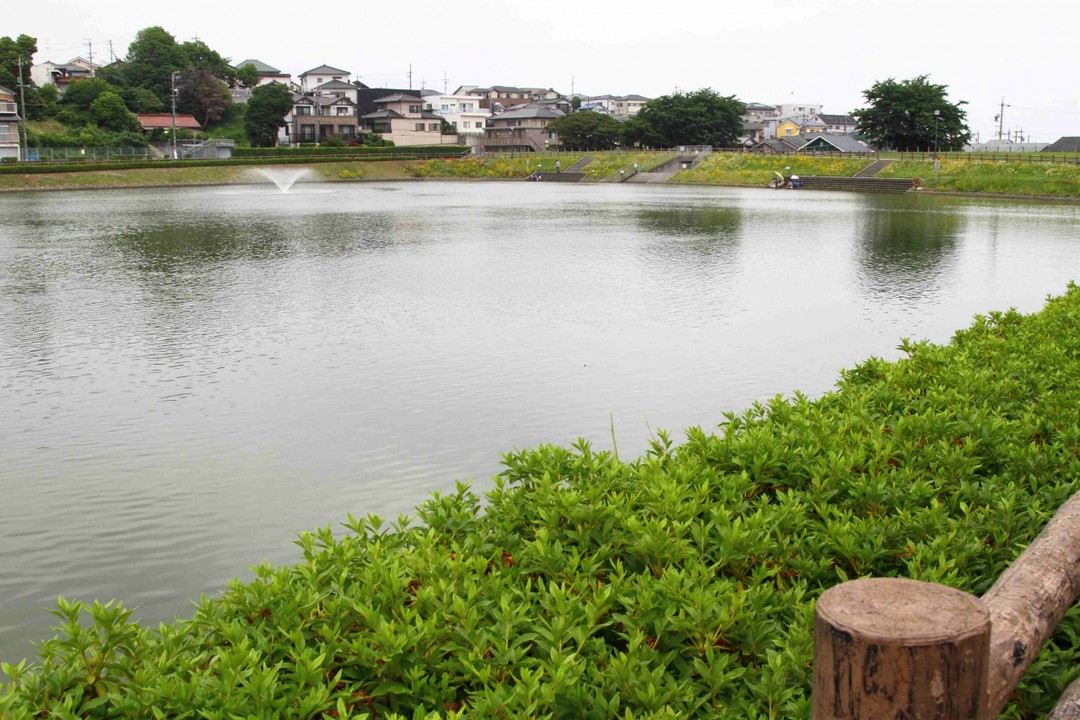 水のある風景