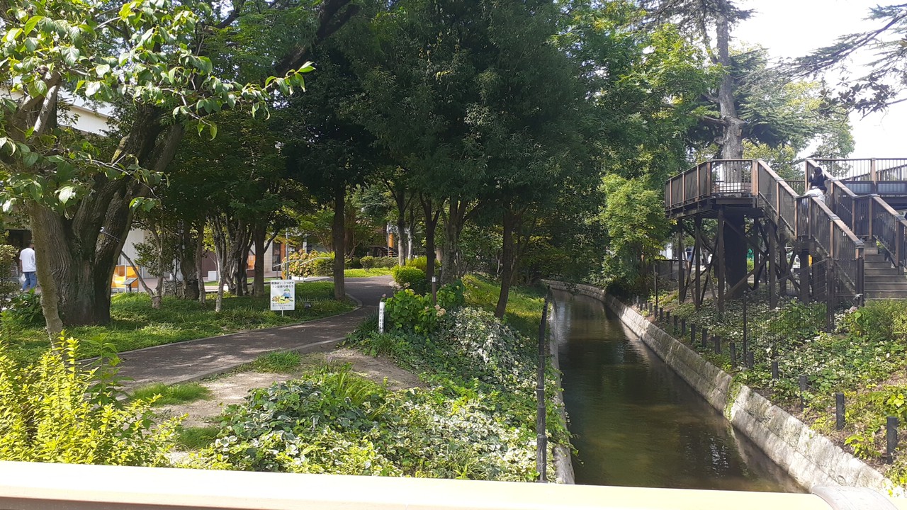 遊歩道と水路の様子