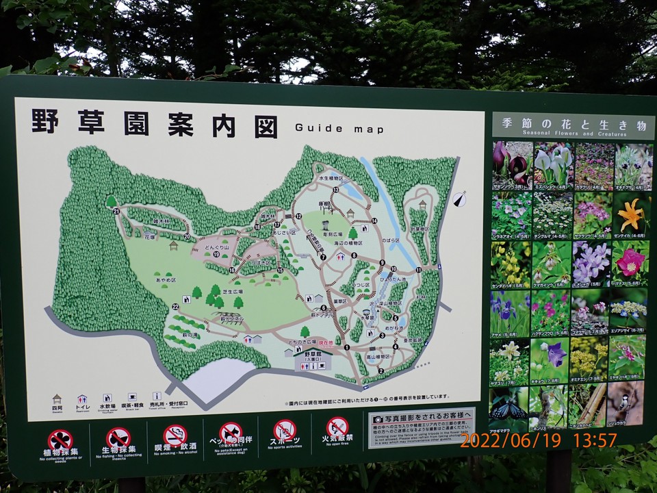 案内図