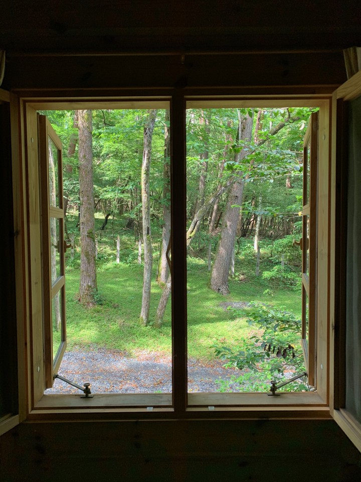 宿泊したログバンガローからの景色