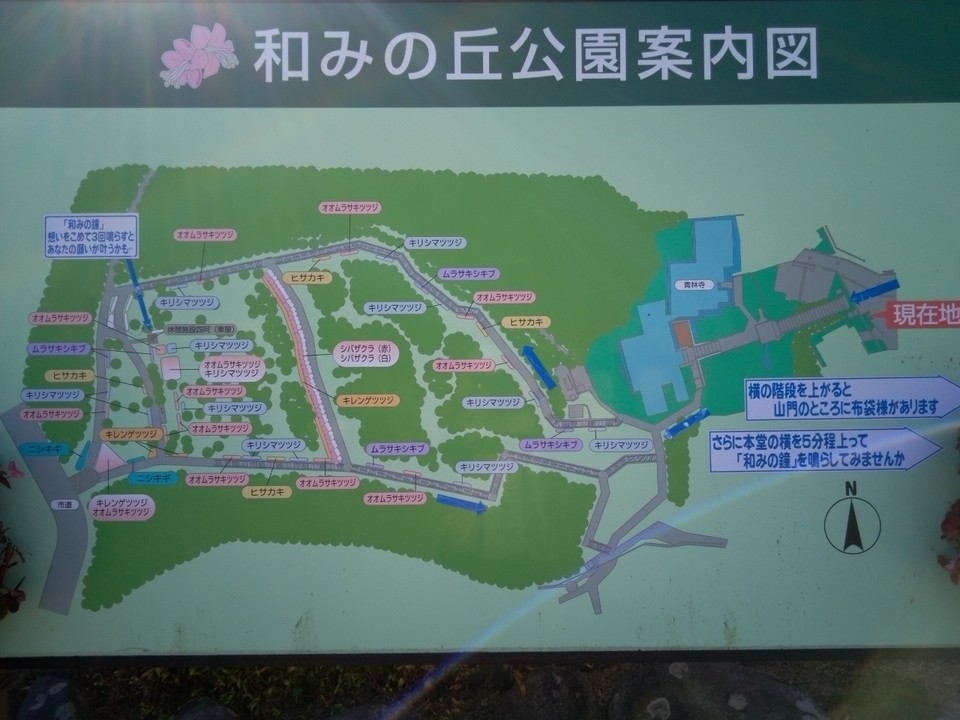 青林寺にある公園案内図です。