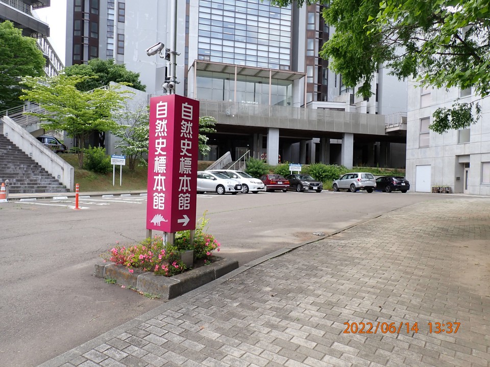 名称表示