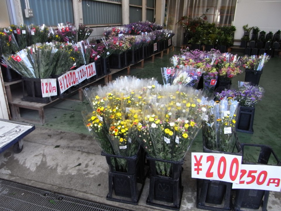 生花農家直送の花々