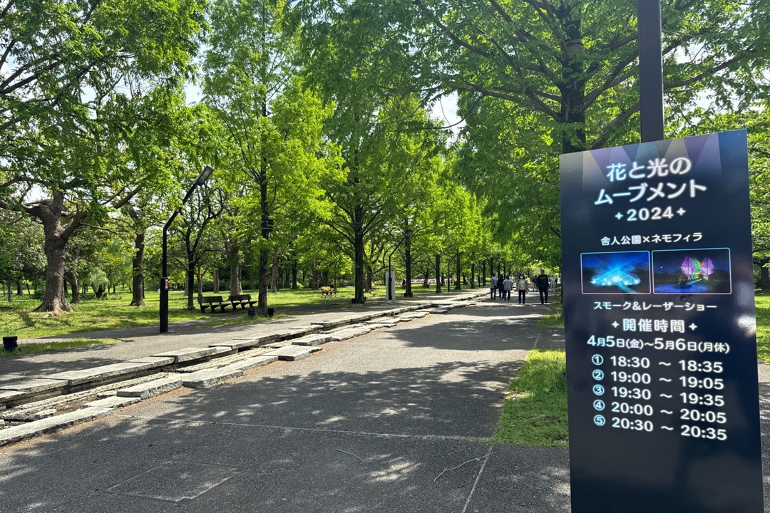 ゴールデンウィーク最終日までライトアップやってます