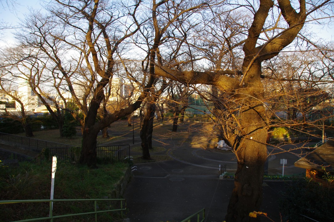 権現山城址