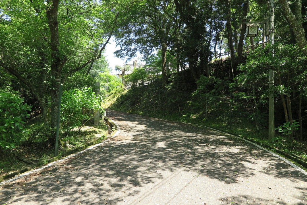 堀跡と思われる場所を登っていくと…
