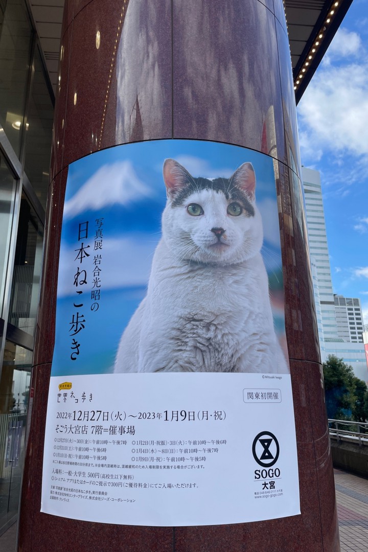 岩合さんの猫の写真展