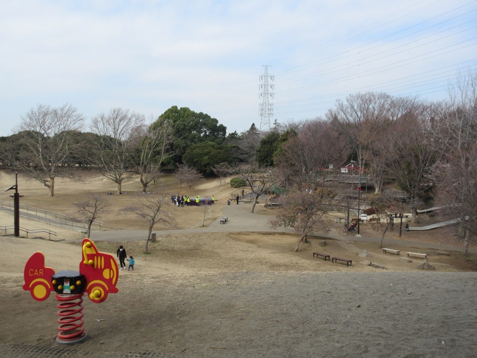 起伏のある広い公園