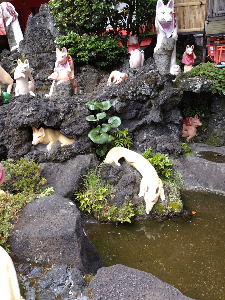 狐