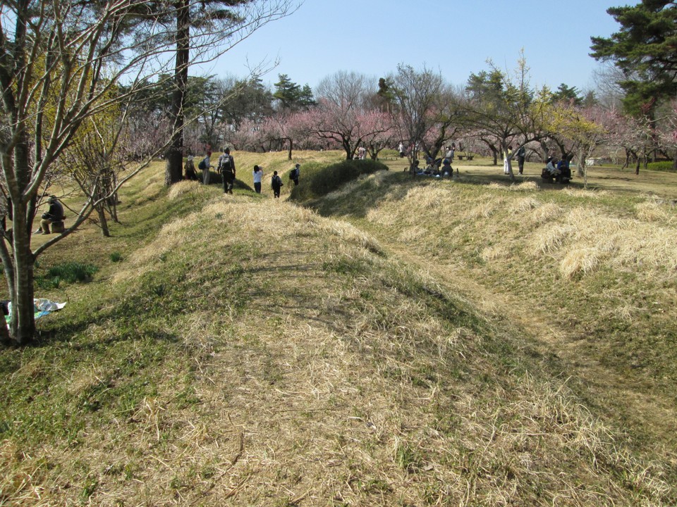 園内にあった山崎城址土塁
