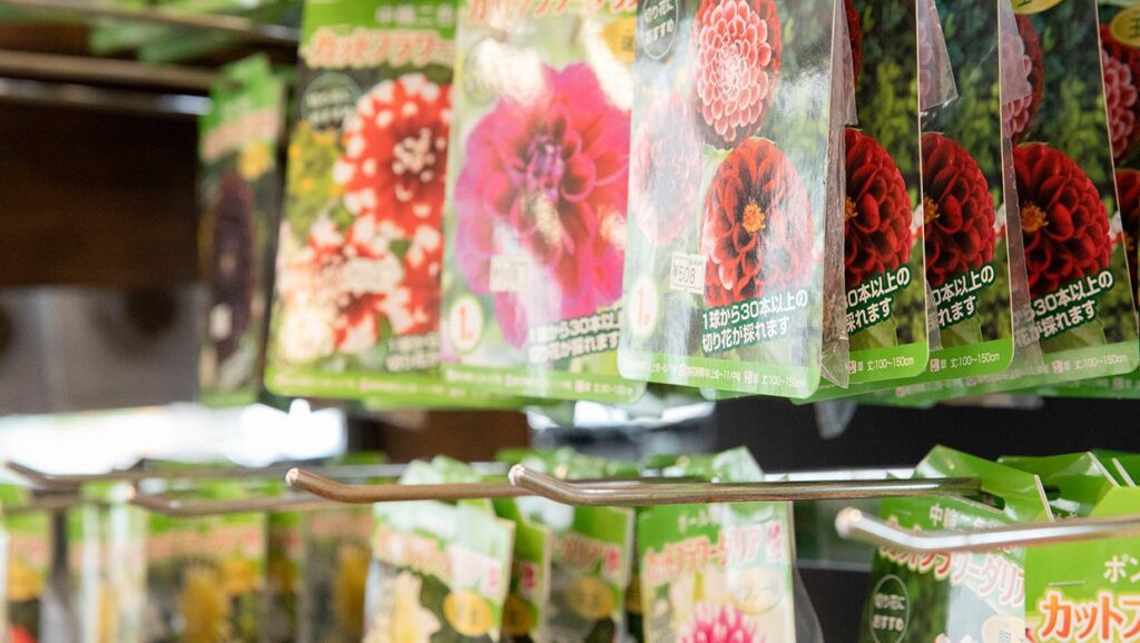 さまざまな種子が売られている