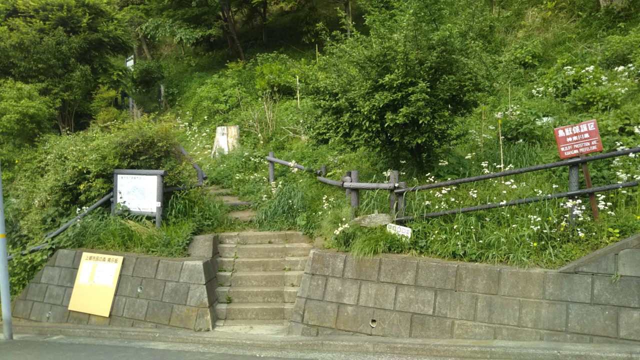 上郷市民の森