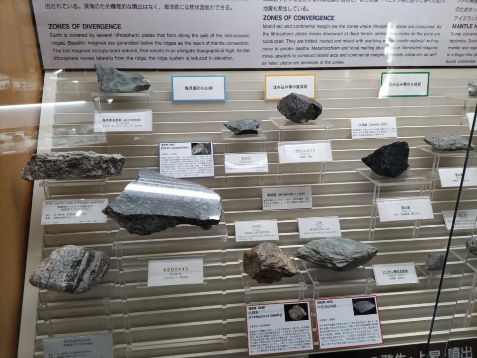 岩石・鉱物の展示