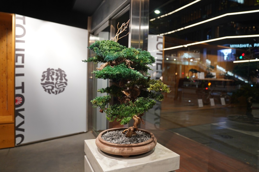RE BONSAI -TOUFU TOKYO- - 表参道/インテリア | Pathee(パシー)