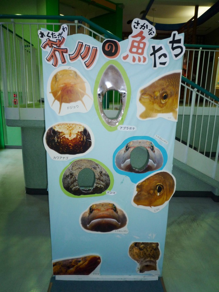 顔を出して写真を撮るコーナー
